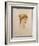 The Head of a Woman-Edward Burne-Jones-Framed Giclee Print