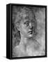 The Head of a Young Woman, 15th or 16th Century-Lorenzo di Credi-Framed Stretched Canvas