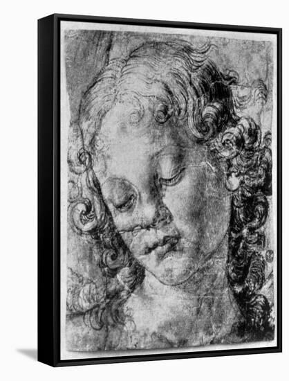 The Head of an Angel, 15th Century-Andrea del Verrocchio-Framed Stretched Canvas