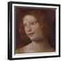 The Head of an Angel - a Fragment-Bernardino Luini-Framed Giclee Print