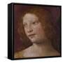 The Head of an Angel - a Fragment-Bernardino Luini-Framed Stretched Canvas