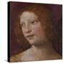 The Head of an Angel - a Fragment-Bernardino Luini-Stretched Canvas