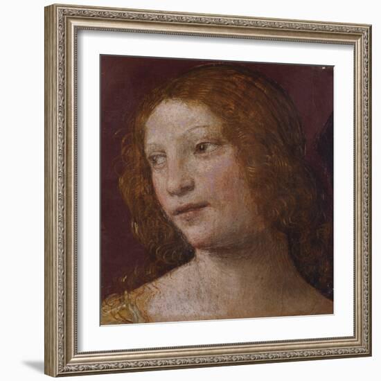 The Head of an Angel - a Fragment-Bernardino Luini-Framed Giclee Print