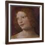 The Head of an Angel - a Fragment-Bernardino Luini-Framed Giclee Print