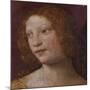 The Head of an Angel - a Fragment-Bernardino Luini-Mounted Giclee Print