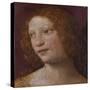 The Head of an Angel - a Fragment-Bernardino Luini-Stretched Canvas