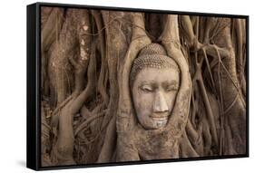 The head of Buddha in Wat Mahathat, Ayutthaya Historical Park, Thailand-Art Wolfe-Framed Stretched Canvas
