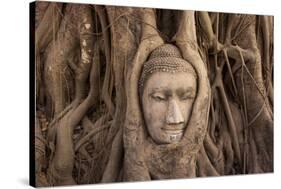 The head of Buddha in Wat Mahathat, Ayutthaya Historical Park, Thailand-Art Wolfe-Stretched Canvas
