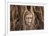 The head of Buddha in Wat Mahathat, Ayutthaya Historical Park, Thailand-Art Wolfe-Framed Photographic Print