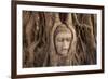 The head of Buddha in Wat Mahathat, Ayutthaya Historical Park, Thailand-Art Wolfe-Framed Photographic Print