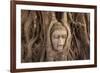 The head of Buddha in Wat Mahathat, Ayutthaya Historical Park, Thailand-Art Wolfe-Framed Photographic Print