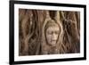 The head of Buddha in Wat Mahathat, Ayutthaya Historical Park, Thailand-Art Wolfe-Framed Photographic Print