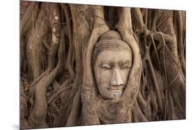 The head of Buddha in Wat Mahathat, Ayutthaya Historical Park, Thailand-Art Wolfe-Mounted Photographic Print