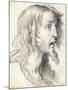 The Head of Christ in Profile to the Right-Bernardo Strozzi-Mounted Giclee Print
