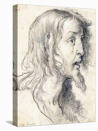 The Head of Christ in Profile to the Right-Bernardo Strozzi-Stretched Canvas
