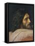 The Head of John the Baptist-Aleksandr Andreevich Ivanov-Framed Stretched Canvas