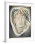 The Head of Medusa, 1884-Simeon Solomon-Framed Giclee Print