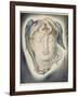 The Head of Medusa, 1884-Simeon Solomon-Framed Giclee Print