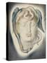 The Head of Medusa, 1884-Simeon Solomon-Stretched Canvas