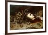 The Head of Medusa-Peter Paul Rubens-Framed Giclee Print