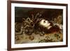 The Head of Medusa-Peter Paul Rubens-Framed Giclee Print