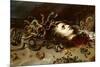 The Head of Medusa-Peter Paul Rubens-Mounted Giclee Print