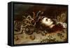 The Head of Medusa-Peter Paul Rubens-Framed Stretched Canvas