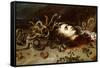 The Head of Medusa-Peter Paul Rubens-Framed Stretched Canvas