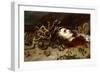 The Head of Medusa-Peter Paul Rubens-Framed Giclee Print