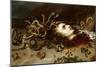 The Head of Medusa-Peter Paul Rubens-Mounted Giclee Print