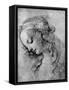 The Head of the Madonna, 15th Centuy-Andrea del Verrocchio-Framed Stretched Canvas