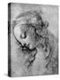 The Head of the Madonna, 15th Centuy-Andrea del Verrocchio-Stretched Canvas