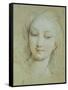 The Head of Venus-Francois Lemoyne-Framed Stretched Canvas