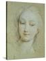 The Head of Venus-Francois Lemoyne-Stretched Canvas