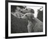 The Heads of Two Whippets Owned by Whitwell-Thomas Fall-Framed Photographic Print