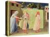 The Healing of Palladia by Ss. Cosmas and Damian, Predella from the Annalena Altarpiece, 1434-Fra Angelico-Stretched Canvas