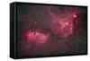 The Heart and Soul Nebula in the Constellation Cassiopeia-null-Framed Stretched Canvas