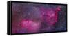 The Heart and Soul Nebulae in the Constellation Cassiopeia-Stocktrek Images-Framed Stretched Canvas