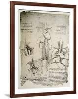 The Heart and the Circulation, Facsimile of the Windsor Book-Leonardo da Vinci-Framed Giclee Print