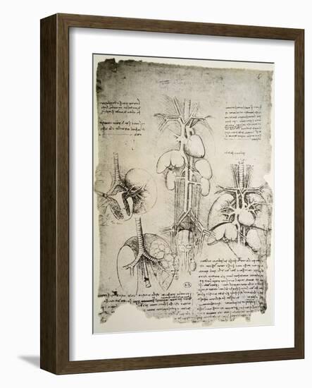 The Heart and the Circulation, Facsimile of the Windsor Book-Leonardo da Vinci-Framed Giclee Print