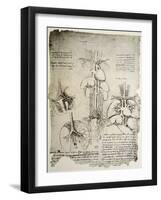 The Heart and the Circulation, Facsimile of the Windsor Book-Leonardo da Vinci-Framed Giclee Print