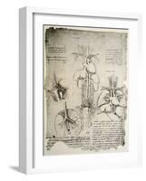 The Heart and the Circulation, Facsimile of the Windsor Book-Leonardo da Vinci-Framed Giclee Print