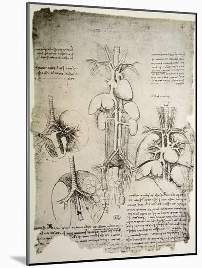 The Heart and the Circulation, Facsimile of the Windsor Book-Leonardo da Vinci-Mounted Giclee Print