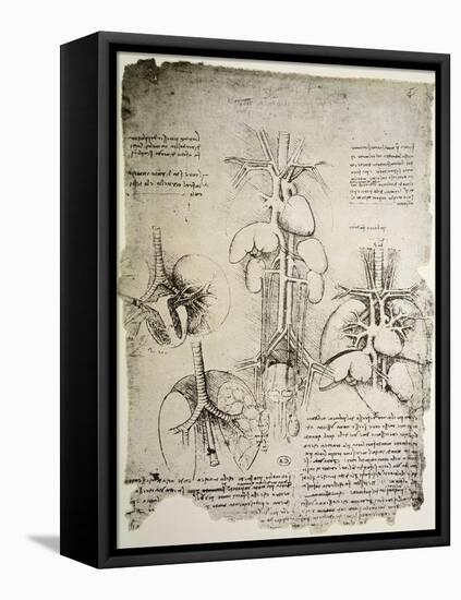 The Heart and the Circulation, Facsimile of the Windsor Book-Leonardo da Vinci-Framed Stretched Canvas