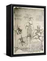 The Heart and the Circulation, Facsimile of the Windsor Book-Leonardo da Vinci-Framed Stretched Canvas