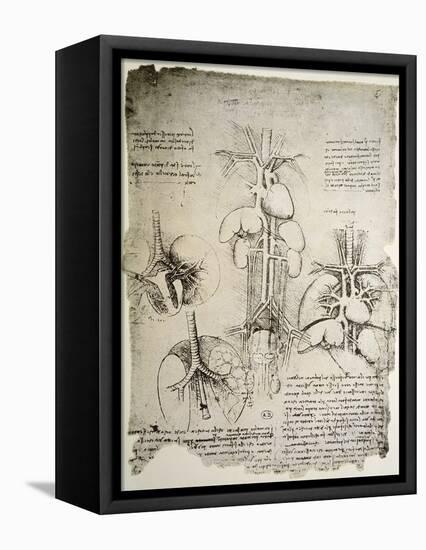 The Heart and the Circulation, Facsimile of the Windsor Book-Leonardo da Vinci-Framed Stretched Canvas