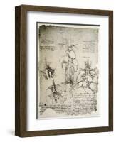 The Heart and the Circulation, Facsimile of the Windsor Book-Leonardo da Vinci-Framed Giclee Print