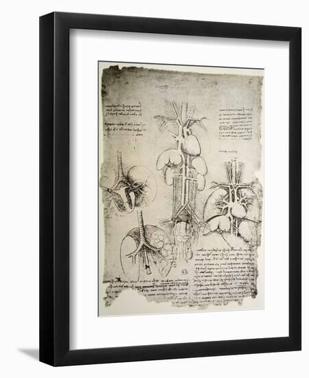 The Heart and the Circulation, Facsimile of the Windsor Book-Leonardo da Vinci-Framed Giclee Print