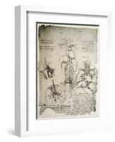 The Heart and the Circulation, Facsimile of the Windsor Book-Leonardo da Vinci-Framed Giclee Print