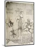 The Heart and the Circulation, Facsimile of the Windsor Book-Leonardo da Vinci-Mounted Giclee Print